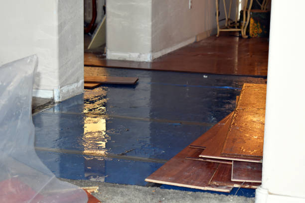 Professional Burst Pipe Cleanup technician working in Osage, IA